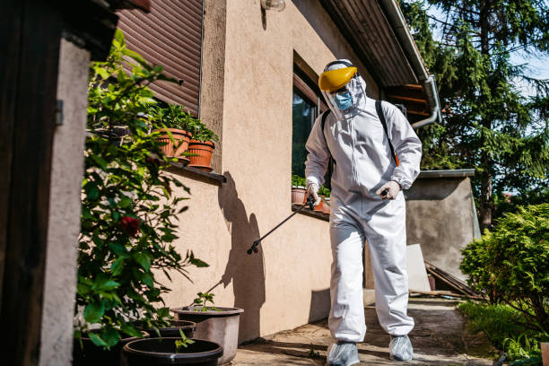 Bird Control in Lynbrook, NY