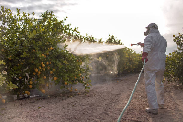 Best Best Pest Control Companies  in Lynbrook, NY