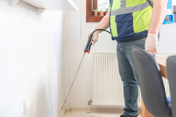 Professional Pest Control in Lynbrook, NY