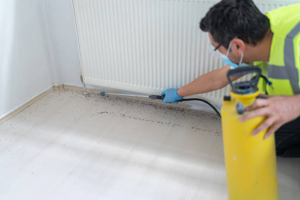 Best Emergency Pest Control  in Lynbrook, NY